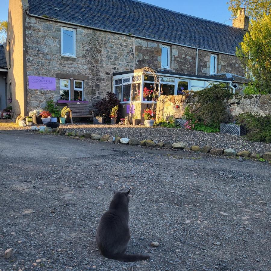 Scooniehill Farm House B&B St Andrews Buitenkant foto