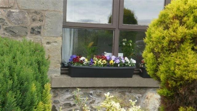 Scooniehill Farm House B&B St Andrews Buitenkant foto