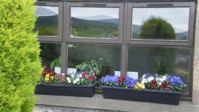 Scooniehill Farm House B&B St Andrews Kamer foto