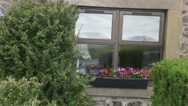 Scooniehill Farm House B&B St Andrews Kamer foto