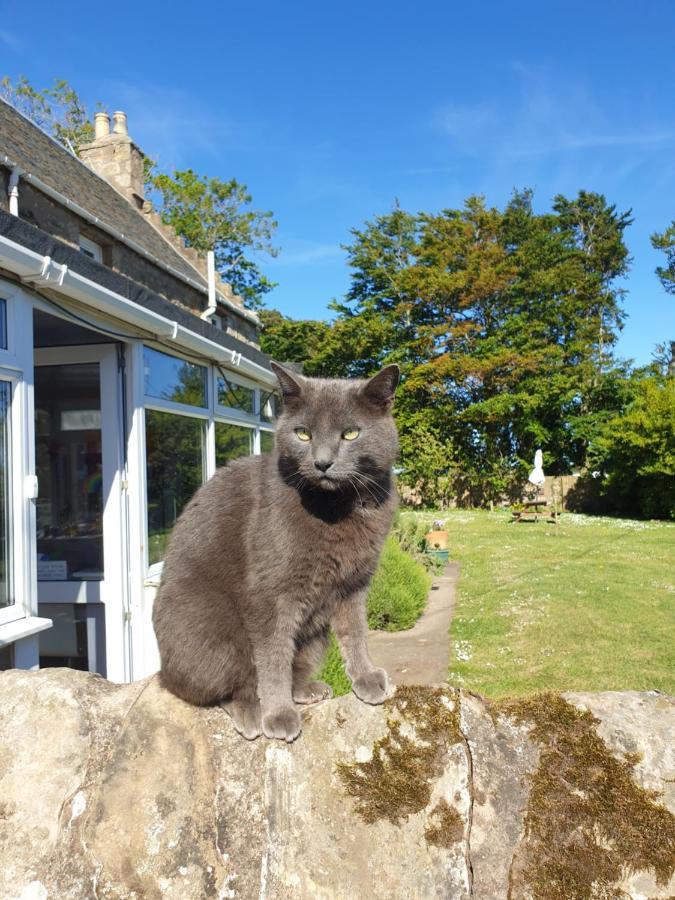 Scooniehill Farm House B&B St Andrews Buitenkant foto